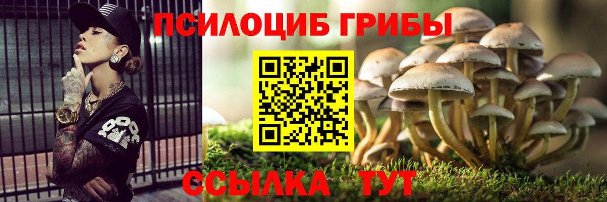 Галлюциногенные грибы ЛСД Верхний Уфалей