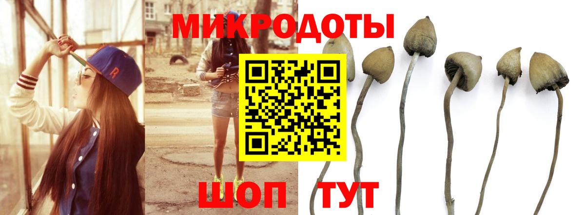 Галлюциногенные грибы Psilocybine cubensis  Галлюциногенные грибы Psilocybe  купить наркотики сайты  Вход с VPN  Верхний Уфалей 
